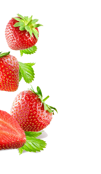 jagode